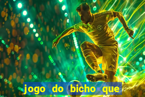 jogo do bicho que paga no pix